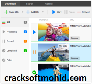 Jerry Dailymotion Downloader Crack + License Key